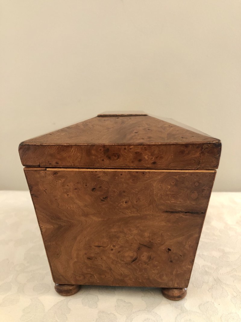 Antique Regency Sarcophagus Shaped  Burr Elm Tea Caddy - Image 8